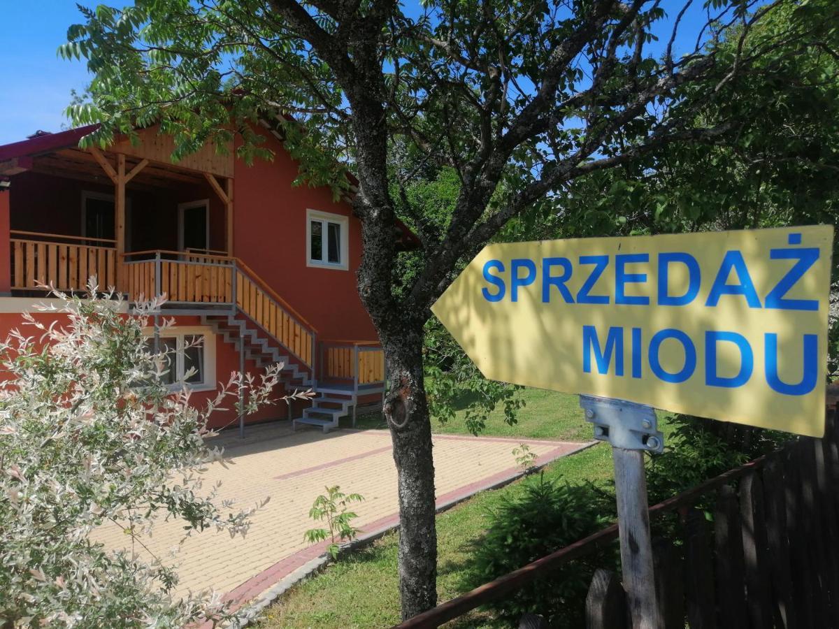 RzepedzRzepedka别墅 外观 照片